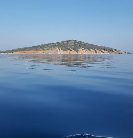 Tapta Ayvalı