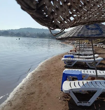 Tapta Ayvalı