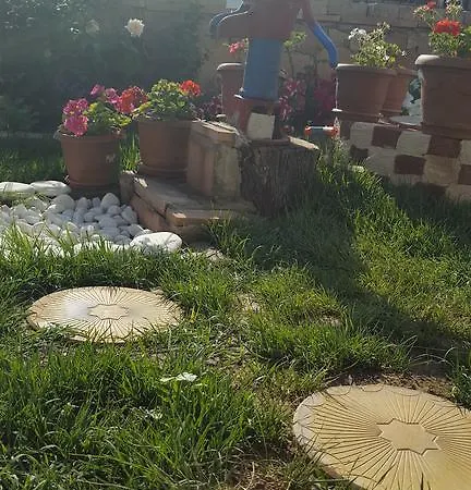 Tapta Ayvalı