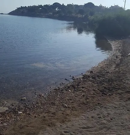 Tapta Ayvalı