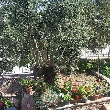 빌라 Tapta Ayvalı